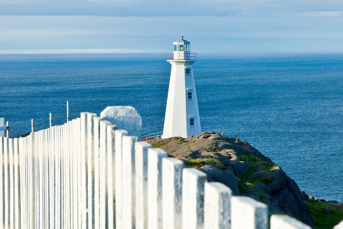 St. Johns, Quidi Vidi Village & Signal Hill Small Group Tour - Traveler Information
