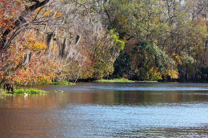 St. Johns River Cruise - Blue Spring State Park - Meeting Point and Park Entrance
