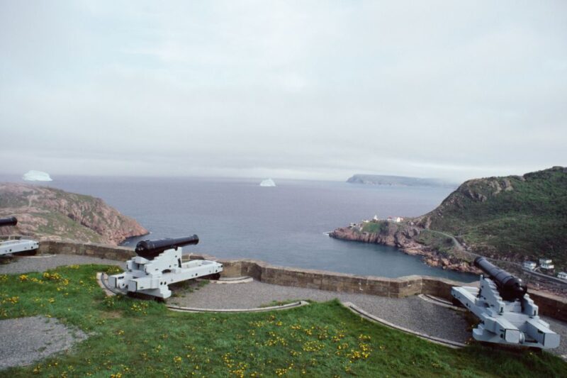 St Johns: Small Group Guided Tour by Car - Tour Highlights