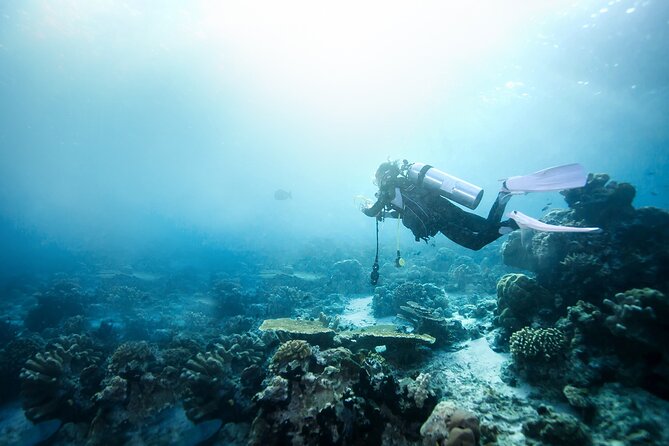 St. Kitts Beach Adventure - Snorkeling Adventure