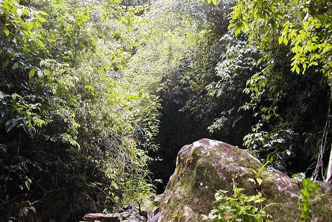 St. Kitts Half-Day Rainforest Tour - Breathtaking Scenery
