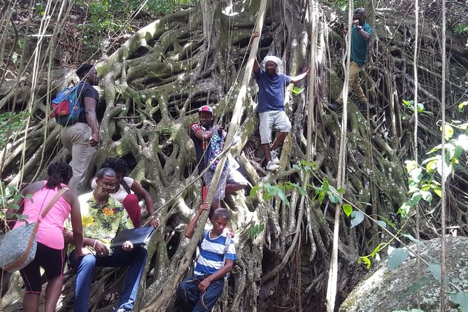St Kitts Half-Day Rainforest Tour - Group Size and Accessibility