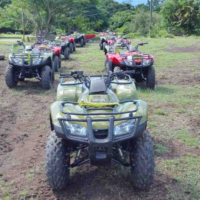 St. Kitts: Jungle Bikes ATV and Beach Guided Tour - Activity Details