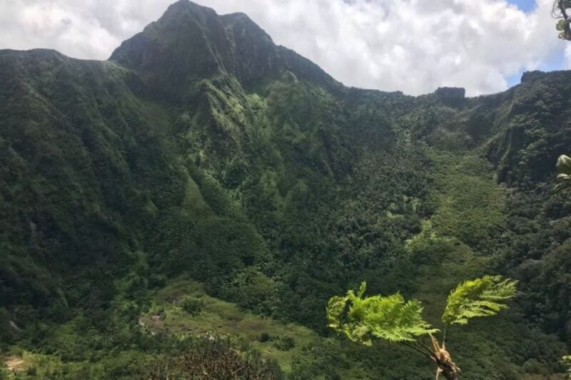St Kitts: Jungle Bikes Off-Road Buggy & Beach Tour - Activity Highlights