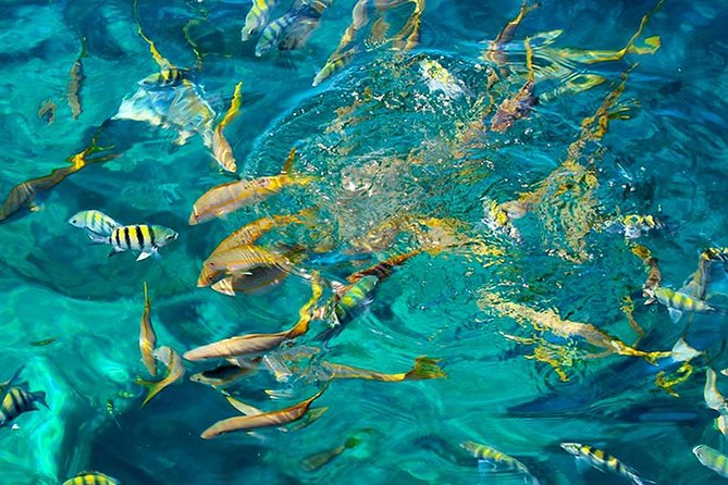St Kitts Mini Speedboat Snorkel Adventure - Pickup and Schedule