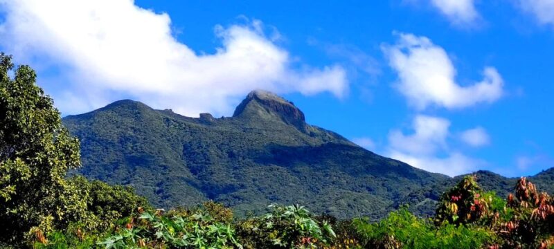 St. Kitts Mount Liamuiga Volcano Hike - Itinerary Highlights