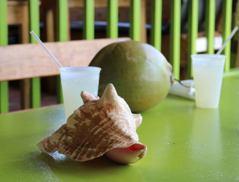 St. Kitts: Nevis Island Tour and Beach Time With Lunch - Itinerary and Experience