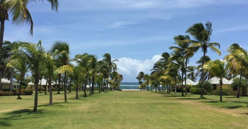 St. Kitts: Nevis Island Tour and Beach Time With Lunch - Beach Time Activities