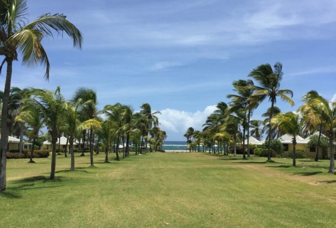 St. Kitts: Nevis Island Tour and Beach Time With Lunch - Frequently Asked Questions