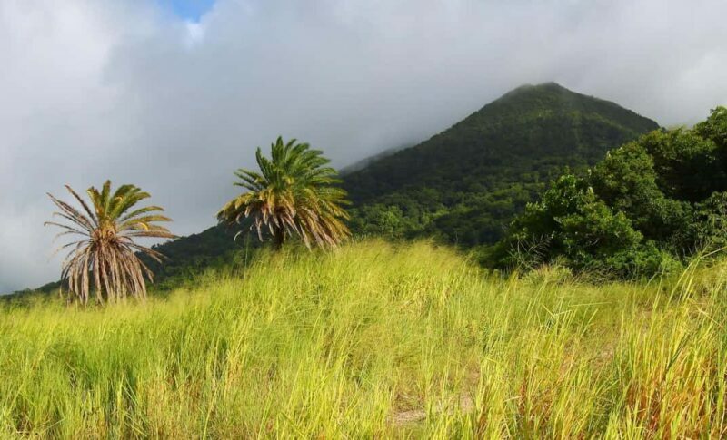 St. Kitts: Nevis Island Tour with Lunch and Guide - An In-Depth Look at the Tour Experience