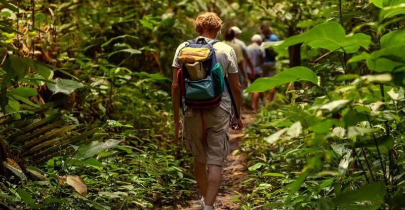 St. Kitts: Rainforest Eco Adventure Guided Hike - Key Points