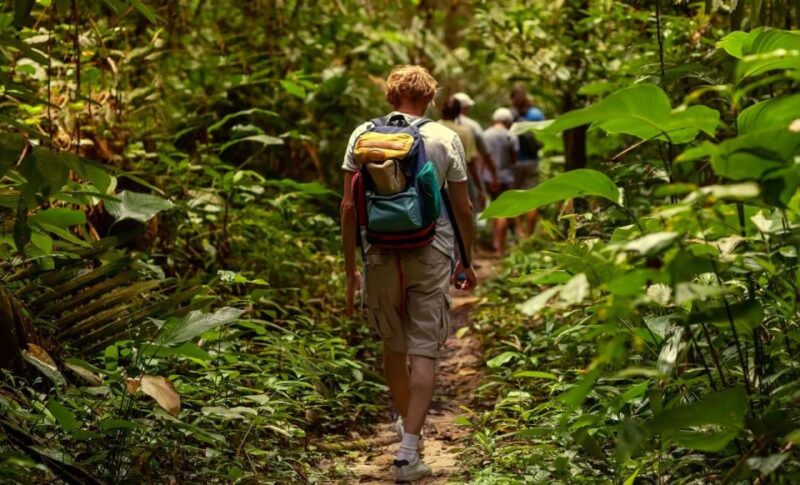 St. Kitts: Rainforest Eco Adventure Guided Hike - Transportation and Meeting Point
