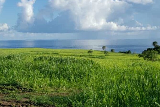 St Kitts Rainforest Nature Tour - Duration and Location