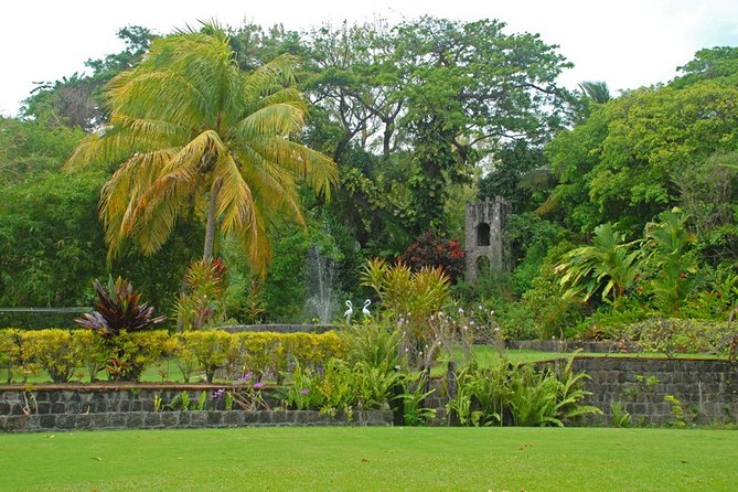 St Kitts Rainforest Tour - Tour Overview