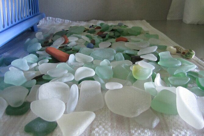 St.Kitts Sea Glass & Volcanic Black Sand Beach Day - Introduction: A Unique Beach Experience in St. Kitts