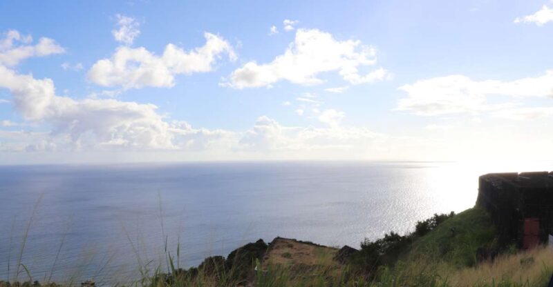 St. Kitts: South West Coast Van Tour - Booking Information