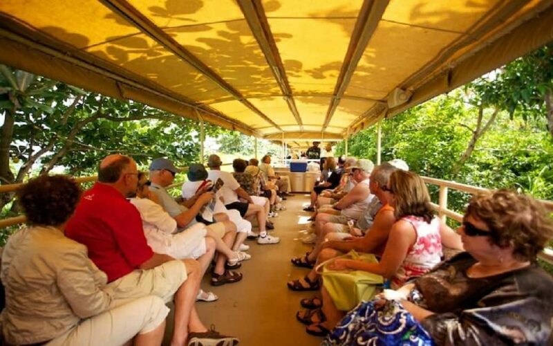 St.Kitts Sugar Train Tour with Pick Up & Drop-Off From Port. - The Value and Considerations