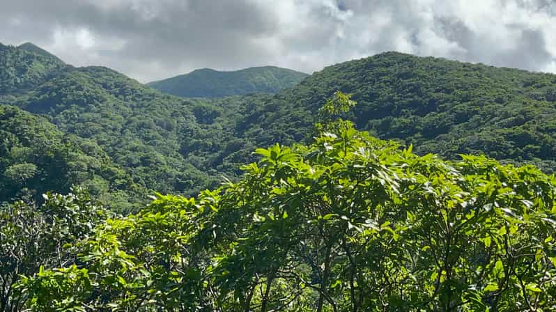 St. Kitts Wingfield Rainforest and Romney Experience - Key Points