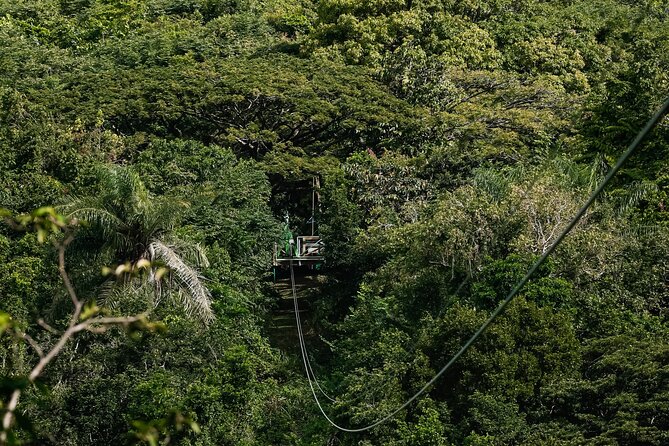 St. Kitts Zipline Experience - Safety and Accessibility