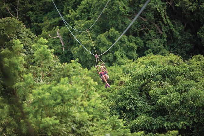 St. Kitts Zipline Experience - Booking and Availability