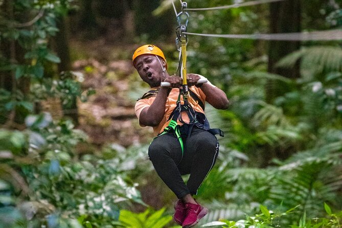 St. Lucia 3 in 1 Combo Adventure: Sky, Trail & Zipline Tour - About Your Stay