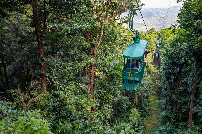 St. Lucia Aerial Tram Tour at Rainforest Adventures - Aerial Tram Details and Features