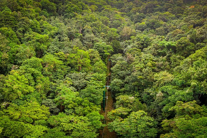 St. Lucia Aerial Tram Tour at Rainforest Adventures - Transportation and Meeting Point