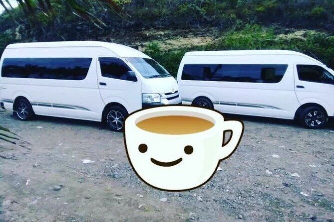 St Lucia Airport Transfer to Royalton Saint Lucia Resort and Spa - Customer Service and Communication