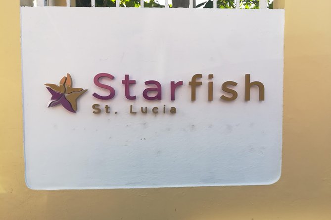 St Lucia Airport Transfer to Starfish St Lucia - Pricing and Availability