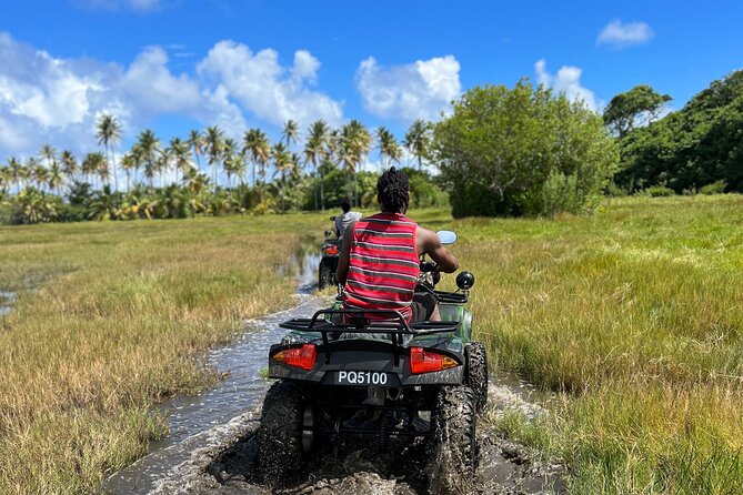 St Lucia ATV Tours (Best on Island) - Reviews and Ratings