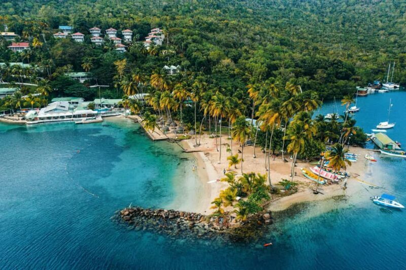 St Lucia Bamboo Rafting and Rum Distillery Experience - Who Will Love This Tour?