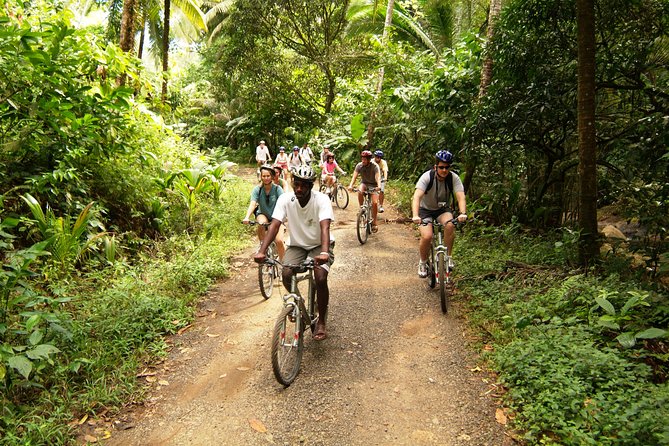 St Lucia Bike and Hike - Activity Details