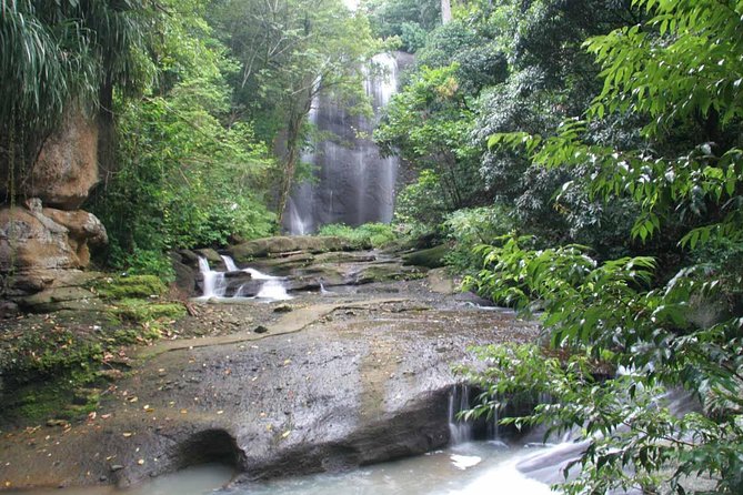 St Lucia Bike and Hike - Tour Suitability