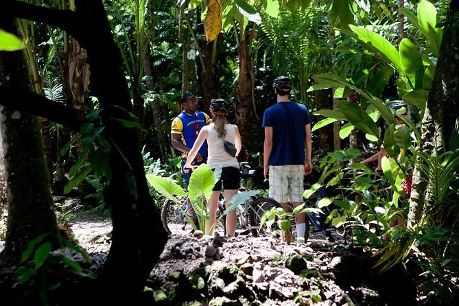 St Lucia Bike and Hike - Outdoor Adventure