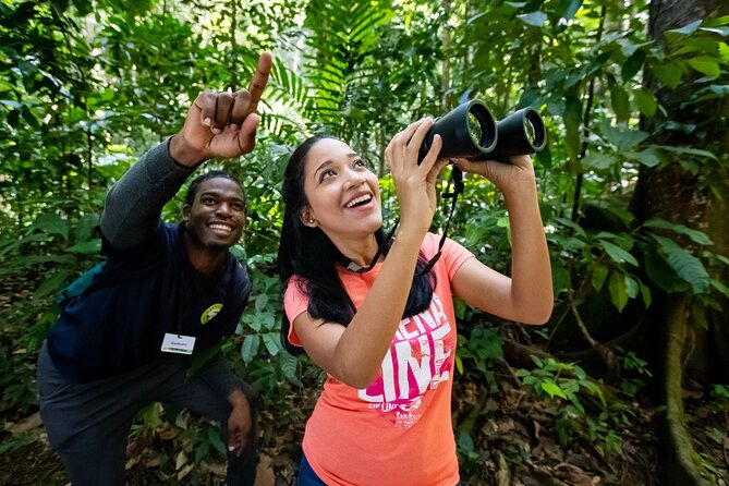 St Lucia Birdwatching Tour at Rainforest Adventures - Tour Itinerary