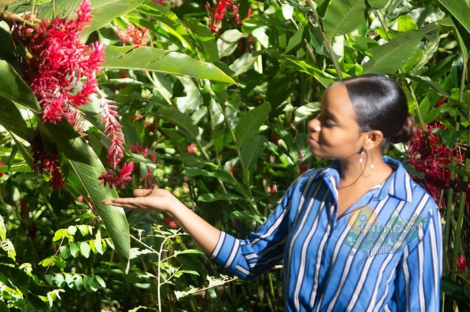 St. Lucia Botanical Gardens and Waterfall Tour Groups Only - Immersive Nature Experiences