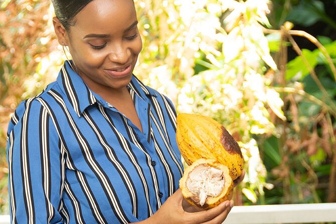 St. Lucia Botanical Gardens and Waterfall Tour Groups Only - Cultural Insights and History
