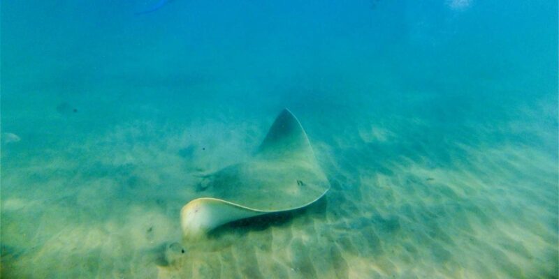 St. Lucia: Cape Vidal Snorkeling Adventure - Location and Meeting Point