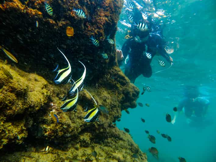 St. Lucia: Cape Vidal Snorkeling Adventure - Snorkeling Experience