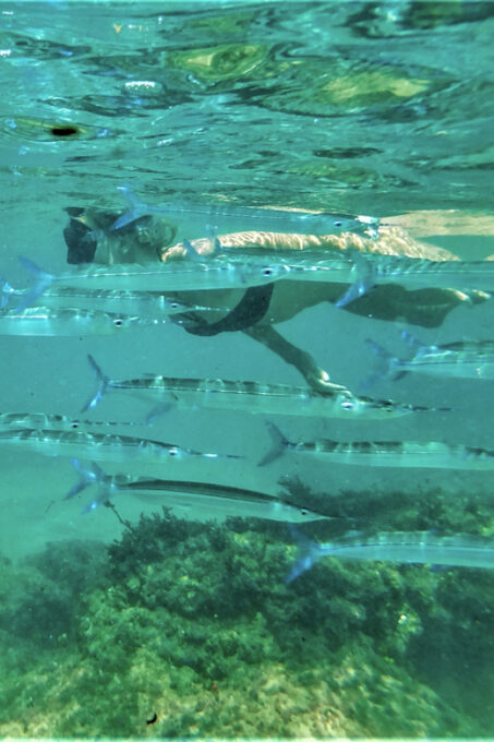 St. Lucia: Cape Vidal Snorkeling Adventure - Benefits of Cape Vidal Snorkeling