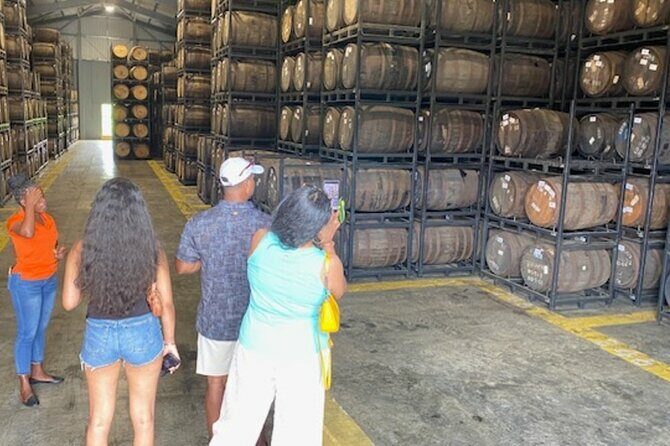 St. Lucia Chocolate Making and Rum Tour Experience - Introduction