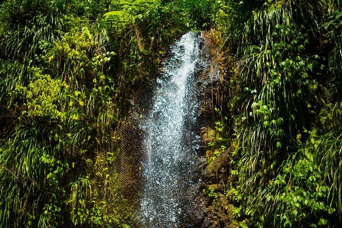 St Lucia Cruise Ship Excursion - Customer Reviews and Experiences