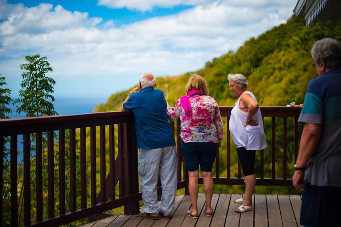 St Lucia Cruise Ship Excursion - Pricing and Cancellation Policy