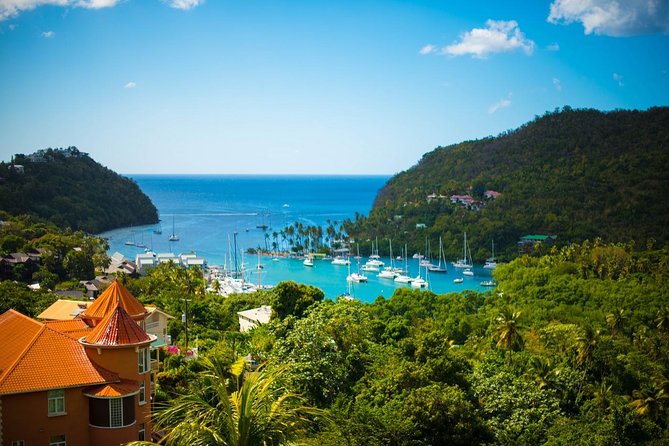 St Lucia Cruise Ship Excursion - Scenic Highlights of the Tour