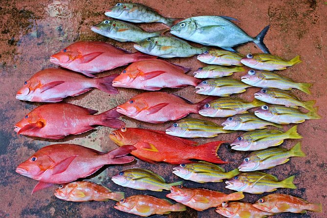 St. Lucia Deep Sea Fishing - Overview of the Experience