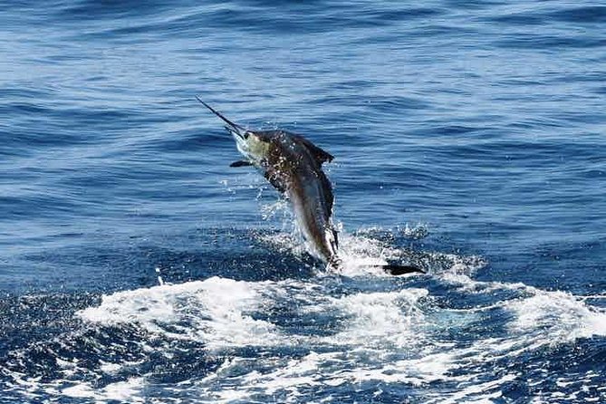 St. Lucia Deep Sea Fishing - Planning Your Deep Sea Fishing Adventure