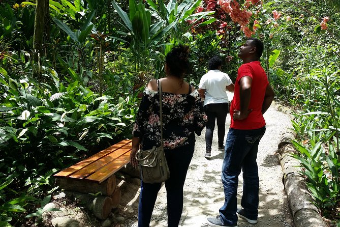 St Lucia Diamond Mineral Baths, Mud Baths & Waterfall Adventure - Pricing and Booking Details