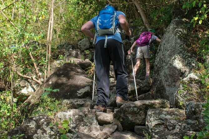 St Lucia Gros Piton Hike Conquer a World Heritage Site - A Closer Look at the Gros Piton Hike Experience