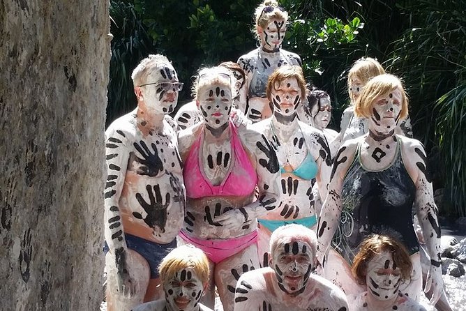 St Lucia Highlights Tour - Key Attractions: Sulphur Springs and Diamond Botanical Gardens