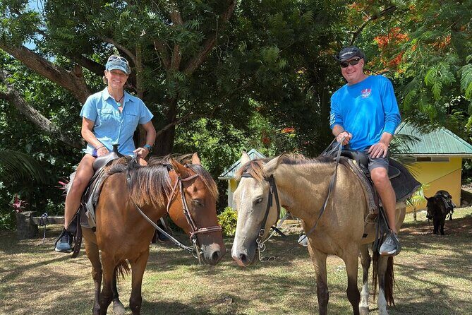 St. Lucia Horseback Riding & Zip Lining Adventure Tour - The Experience Provider and Logistics